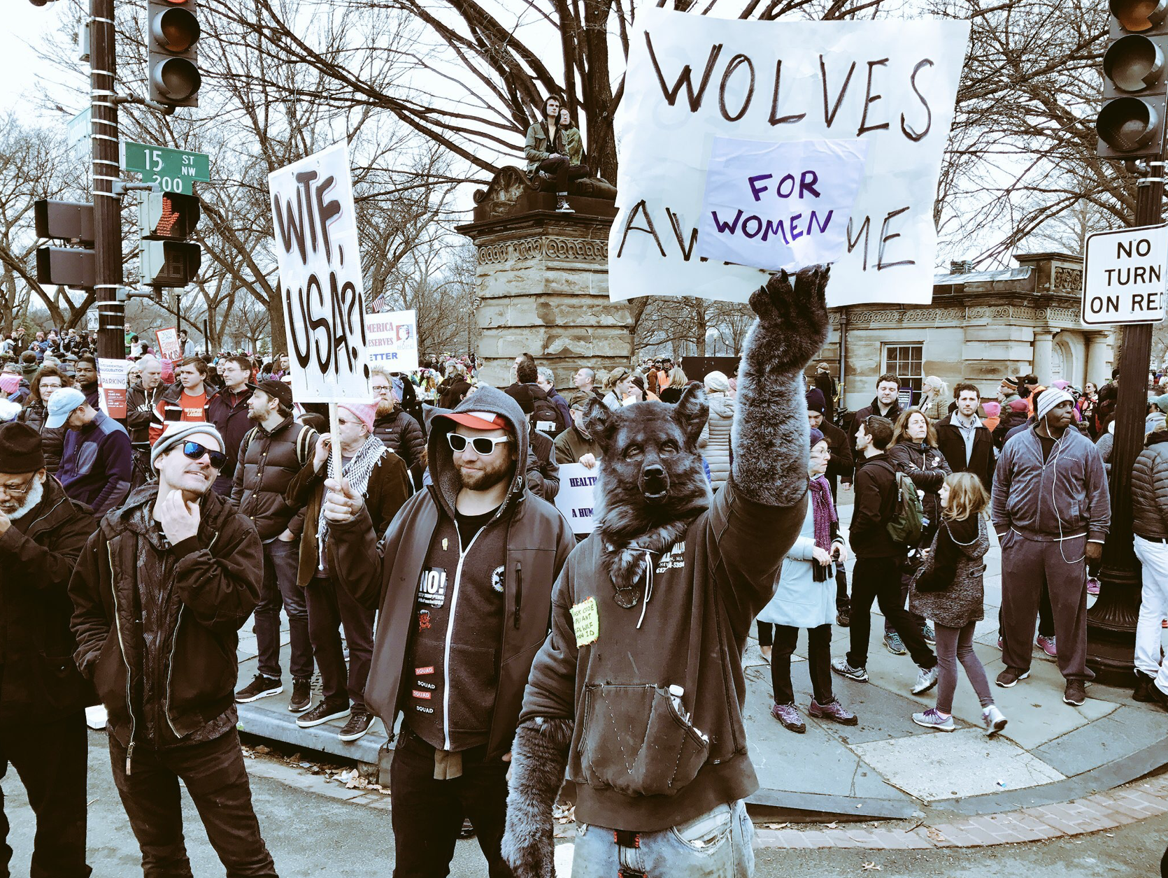A man in a wolf costume holds a sign reading: Wolves for Women. Another sign reads: WTF USA?